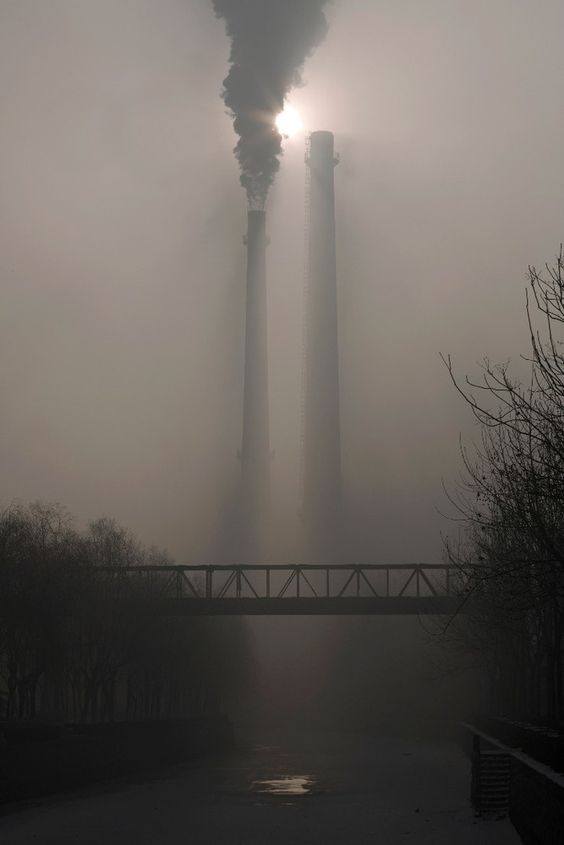 El Papel de las Motos Eléctricas en la Reducción de CO2